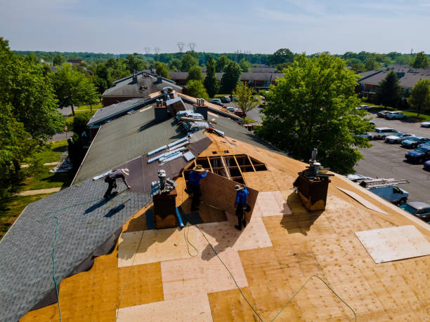 Best Residential Roofing Contractor  in Roxana, IL