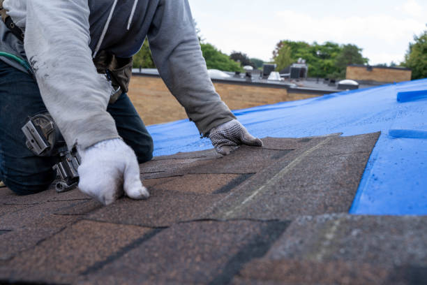 Professional Roofing Contractor in Roxana, IL