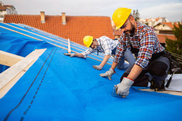 Best Commercial Roofing Services  in Roxana, IL
