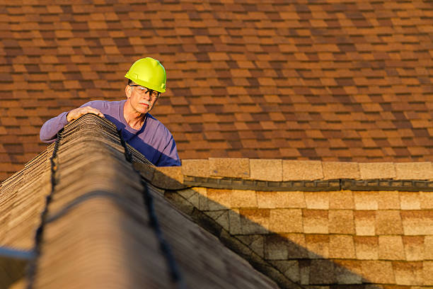 Best Roof Leak Repair  in Roxana, IL