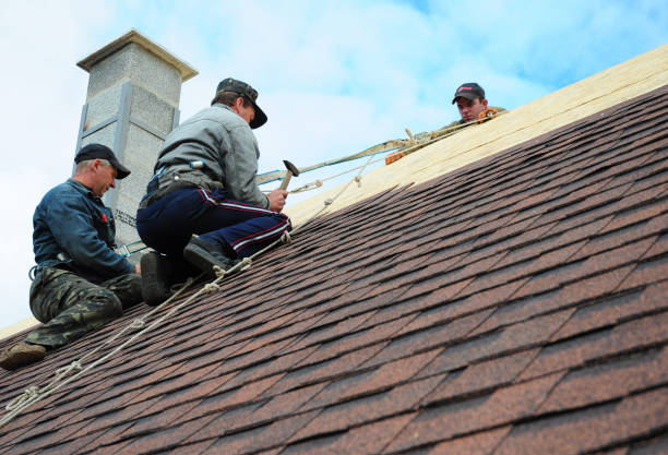 Best Roof Restoration Services  in Roxana, IL