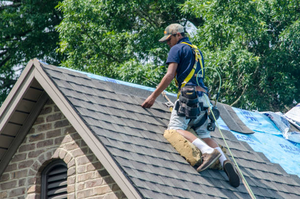 Best Gutter Installation and Roofing  in Roxana, IL
